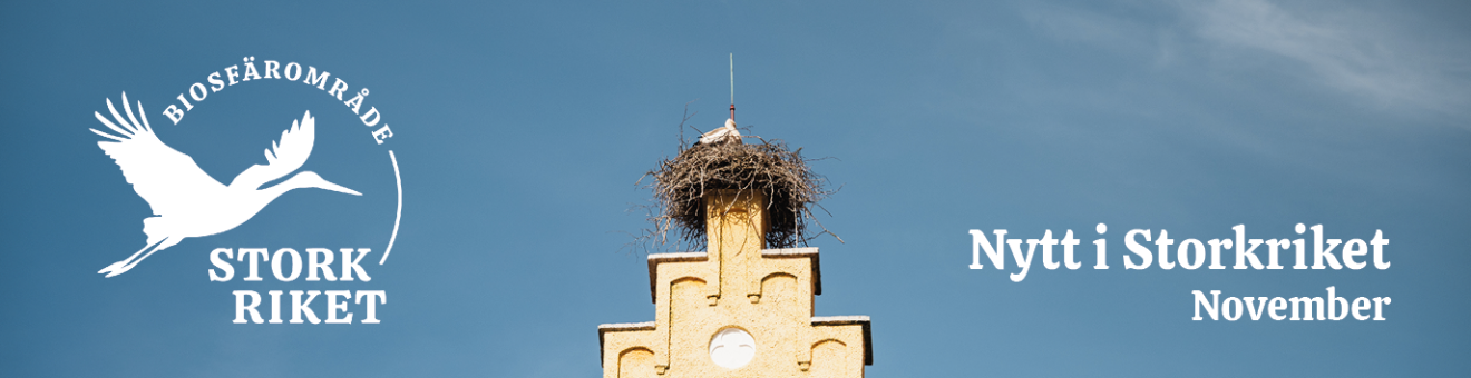 Storkrikets logotyp, Biosfärområde Storkriket, Nytt i Storkriket november