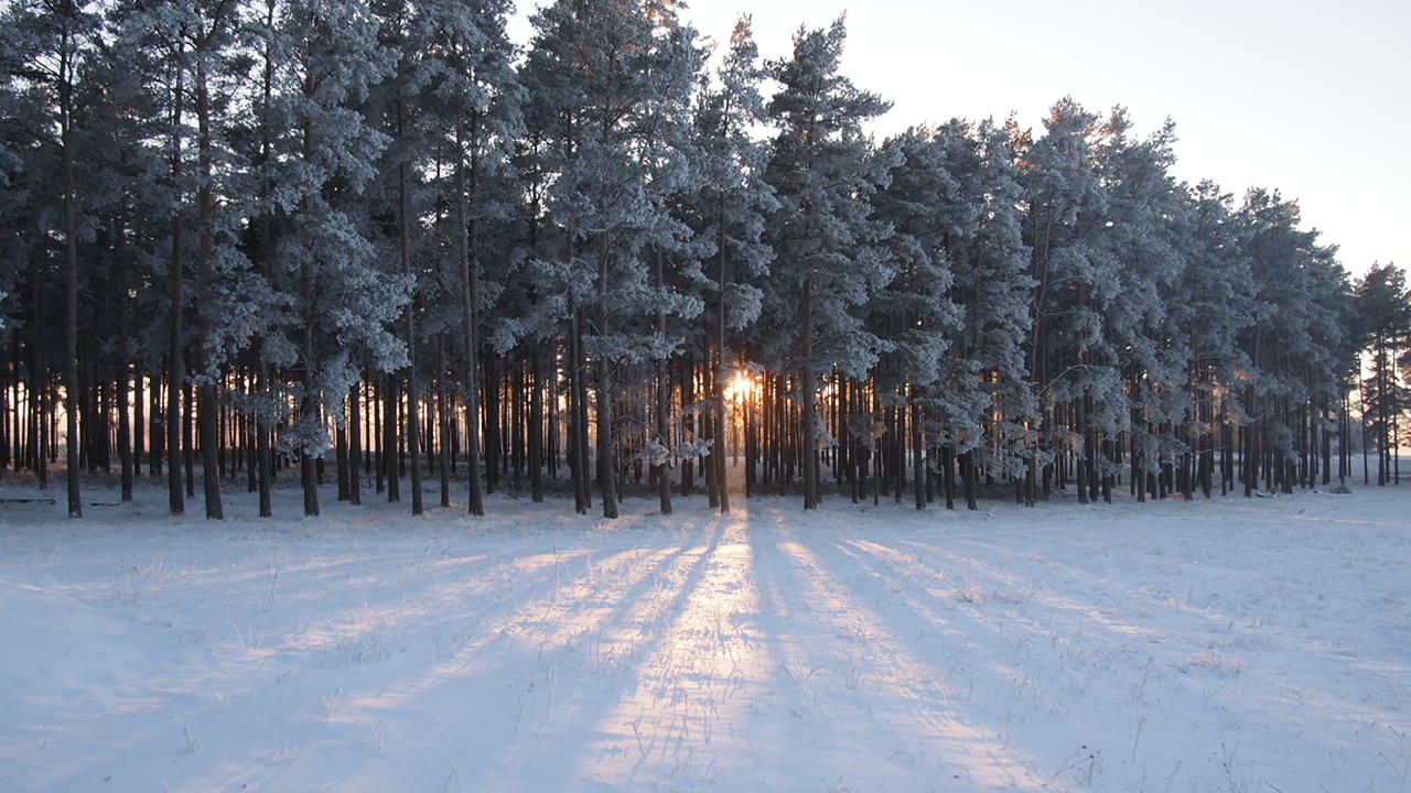 Vinterklätt landskap